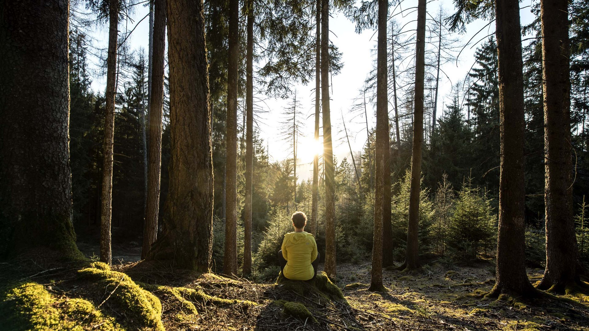 Seiser Alm Balance – im Einklang mit der Natur Person sitzt im Wald auf moosbedecktem Boden bei Sonnenuntergang