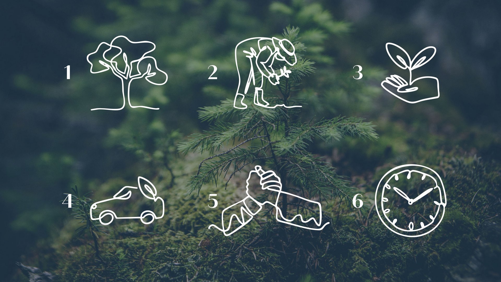 Nachhaltiges Handeln im Sensoria Dolomites Sechs Symbole zeigen Umweltschutz: Baum, Pflanzenpflege, Pflanze in Hand, Auto mit Blatt, Hände im Handschlag, Uhr