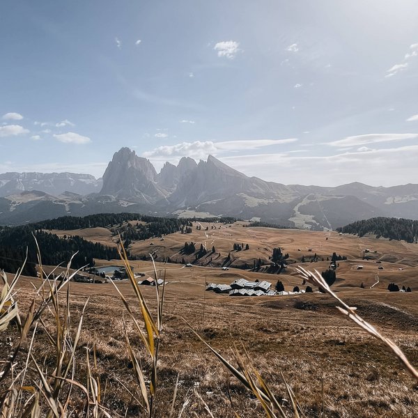 Aktivurlaub in Südtirol – bereit für Natur pur? Landschaft mit Bergen und trockenem Gras unter klarem Himmel
