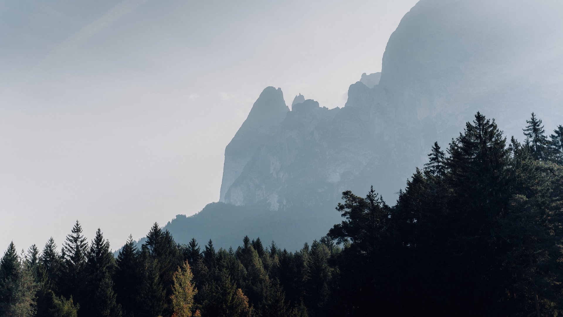 Mehr als ein Hotel im Naturpark Schlern-Rosengarten Nebelverhangener Berg im Hintergrund mit dunklem Nadelwald im Vordergrund