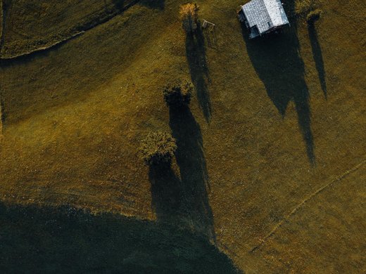 Nachhaltiges Handeln im Sensoria Dolomites Luftaufnahme von Bäumen und einem kleinen Gebäude mit langen Schatten auf einer Wiese
