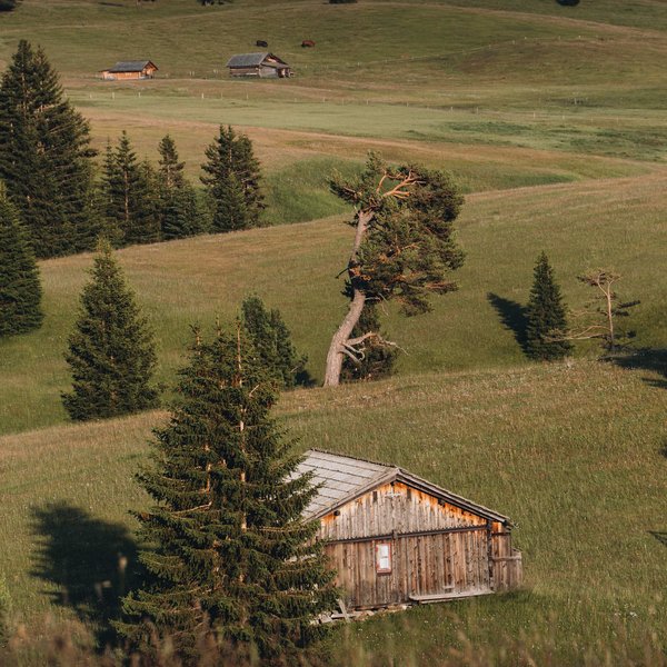 Romantischer Kurzurlaub für Verliebte – Sensoria Dolomites Holzhütte und Bäume auf einer grünen Wiese mit sanften Hügeln