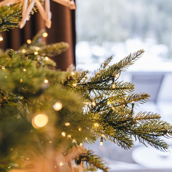 Sensoria Dolomites: Wellnesshotel in den Dolomiten Weihnachtsbaumzweige mit Lichterketten im Wohnzimmer