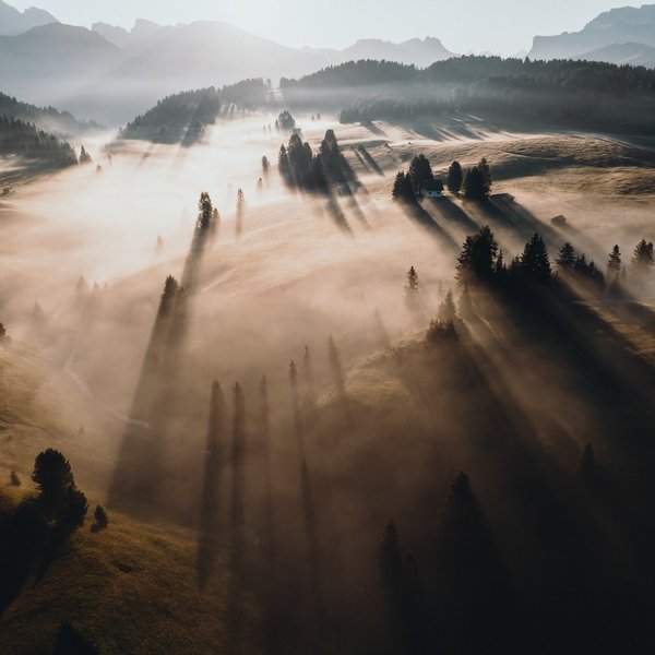 Aktivurlaub in Südtirol – bereit für Natur pur? Nebliges Tal mit langen Schatten von Bäumen im Morgenlicht