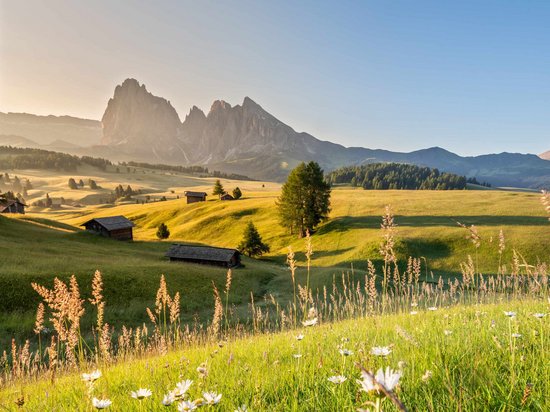 Golf und Wellness – Ihr Golfhotel nahe der Seiser Alm Blumenwiese im Vordergrund und Berge in der Ferne bei klarem Himmel