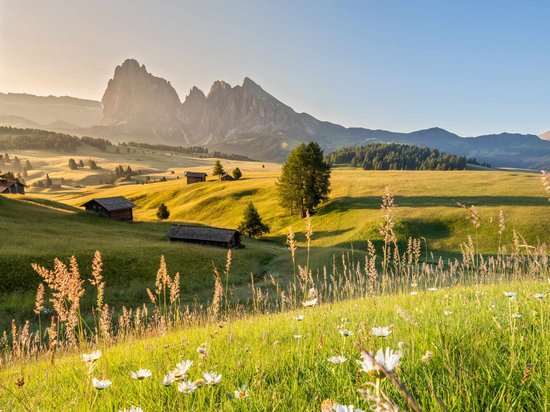 Sensoria Dolomites: Wellnesshotel in den Bergen Blumenwiese im Vordergrund und Berge in der Ferne bei klarem Himmel