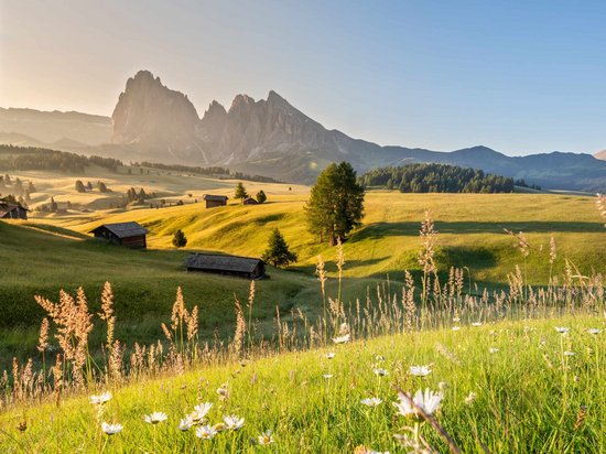 Mehr als ein Hotel auf der Seiser Alm: Sensoria Dolomites Blumenwiese im Vordergrund und Berge in der Ferne bei klarem Himmel