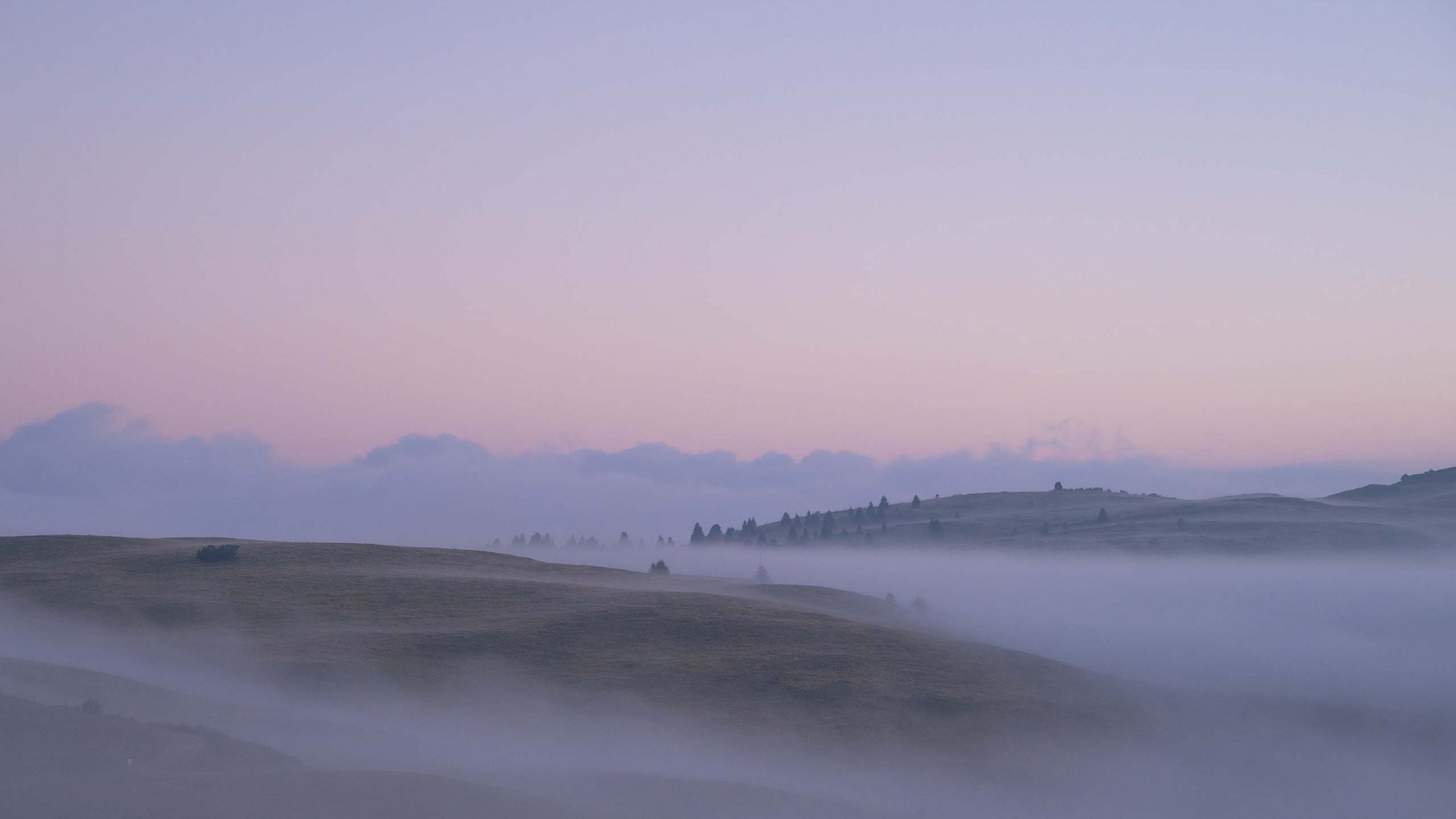 Inclusive services – last-minute South Tyrol holidays Fog rolling over gentle hills under a purple sky at twilight