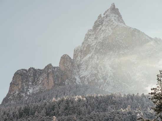 Holidays in the Dolomites – holidays at Sensoria Dolomites Snow-covered mountain with forest and fog