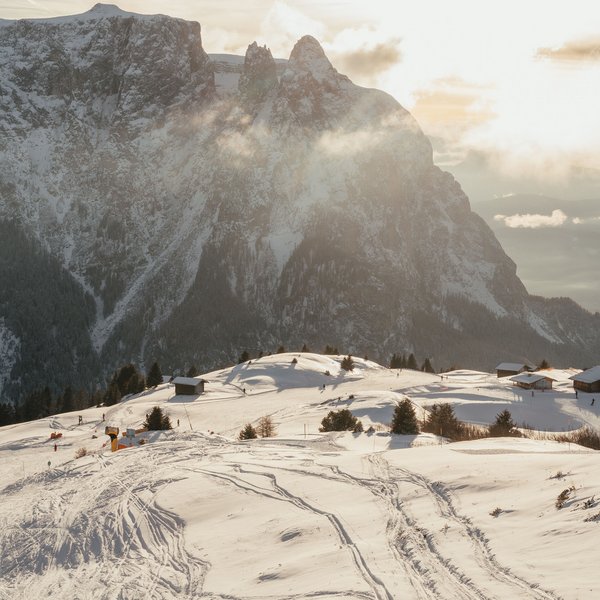 Sensoria Dolomites: Wellnesshotel in den Dolomiten Verschneite Berglandschaft mit Skispuren und Abendsonne im Hintergrund