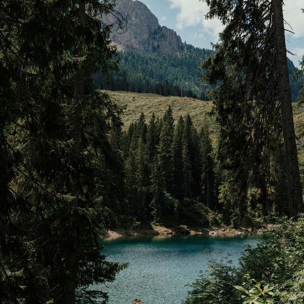 Your hotel in the Dolomites: Sensoria Dolomites View through fir trees of a mountain lake with mountains in the background